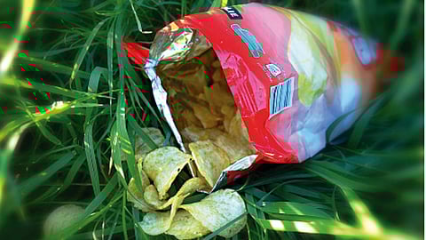 Llama a mejorar hábitos alimenticios en Michoacán (Foto: Pixabay)