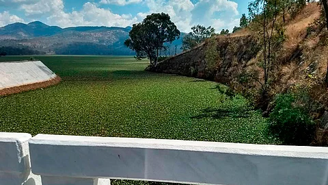 El cambio de uso de suelo también ha afectado la presa (Foto: FB/Presa de Cointzio en peligro)