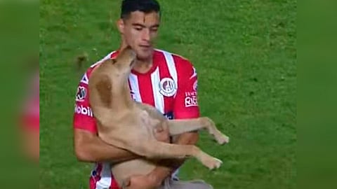 La Máquina Cementera perdió 2-1 ante San Luis (Foto: captura de pantalla)