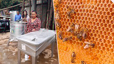 El gobierno de Michoacán incentiva a mujeres productoras de miel (Foto: Especial)