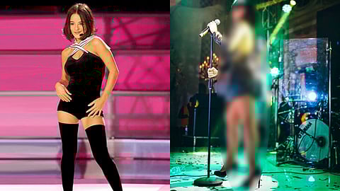 Hace casi tres meses se convirtió en madre (Foto: Captura/alizeeofficiel)