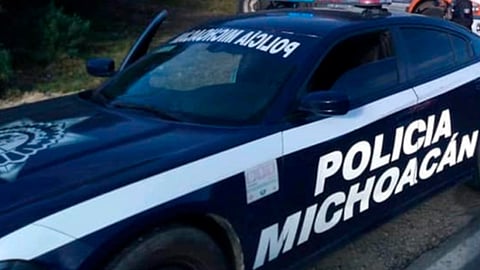 (Foto: Secretaría de Seguridad Pública de Michoacán)