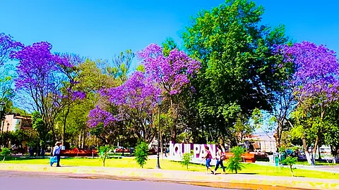 En Jiquilpan hay también atractivos como los talleres de seda y artesanías, música, y rica gastronomía (Foto: Sectur)
