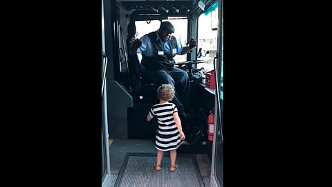 El video se convirtió en el más visto de lo que ve del año (Foto: captura)