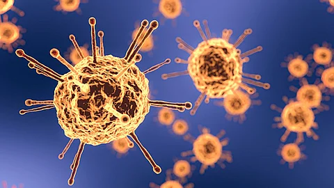 El virus muere a los 21 días en el cuerpo de una persona (Foto: Pixabay)