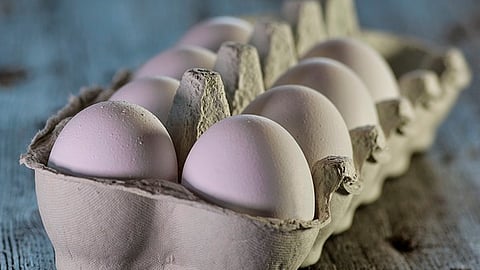 El SIAP reportó que el 27 de marzo el precio del huevo era de 35.93 pesos (Foto: pixabay)