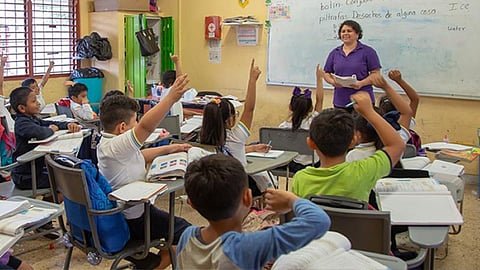 SEP suspende programa piloto del nuevo Plan de Estudios hasta nuevo aviso