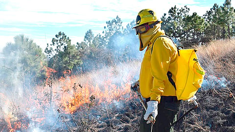 Michoacán, preparados para el combate de incendios forestales