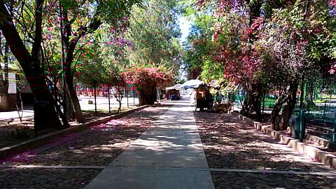 Visita el bazar de cultura geek, potterhead y más que viene de León, Guanajuato, a Morelia este sábado