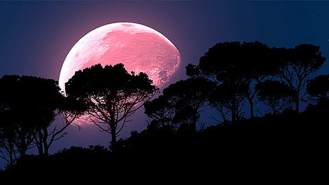 Esta luna será la más grande del año (Foto: Pixabay)