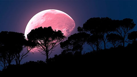 El año nos regala la luna rosa más grande en medio de la contingencia