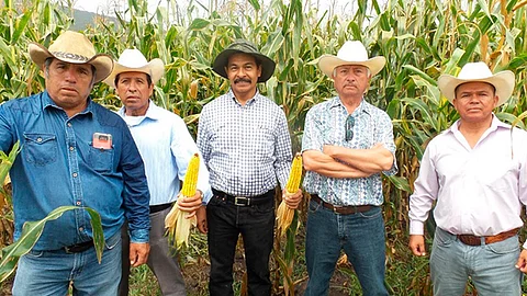 El Programa de Agricultura Sustentable en Michoacán le está regresando vida a la tierra, expresó el titular de la dependencia (Foto Cortesía)