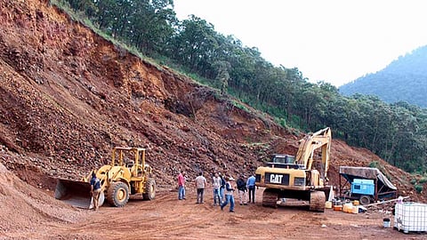 Los bancos situados en lugares alejados de los centros de población, y por tanto de difícil aprovechamiento, pueden ser reforestados (Foto: Cortesía)