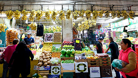 El objetivo es apoyar a productores a comercializar sus productos, llevándolos a los domicilios de las personas (Foto gob.mx)