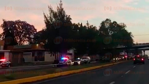 El cadáver quedó destrozado sobre el asfalto (Foto: RED 113)