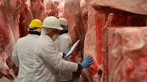 El sector rural es el principal pilar que sostiene la economía y la fortaleza de Michoacán (Foto: Cortesía)