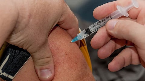Los lnfocitos T son células del sistema inmune que actúan para combatir contra los virus (Foto: pixabay)