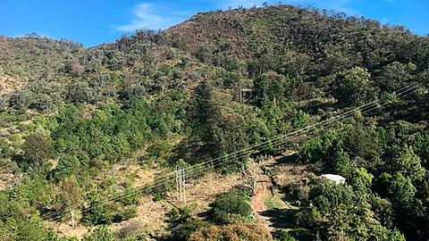 El área natural protegida es refugio de gran biodiversidad en Morelia: Semaccdet (Foto Cortesía)