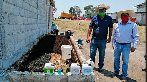 Este año, la novedad es incorporar materia orgánica a los suelos a través de composta y lombricomposta (Foto: Cortesía)