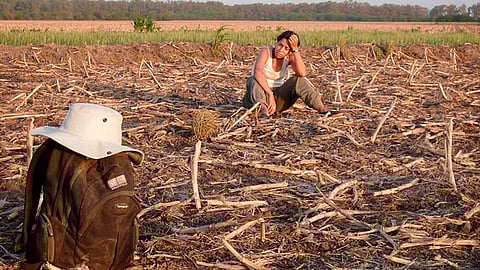 El impacto del cambio climático en la agricultura se debe a que las variaciones de los niveles de precipitación y la temperatura se aproximen o excedan los límites de tolerancia de los cultivos (Foto: Semarnat)