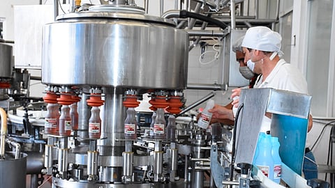 Michoacán generó 63 empleos entre el cierre de 2019 y abril de 2020 (Foto: cortesía)