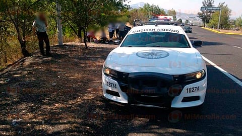 El vehículo en mención salió de la carpeta asfáltica y cayó a un barranco (Foto: RED-113)