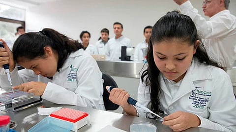 Se elaboraría un registro estatal de los jóvenes talentos del estado, con la intención de que se les dote reconocimiento público por ser becarios (Foto ilustrativa: Gobierno de México)