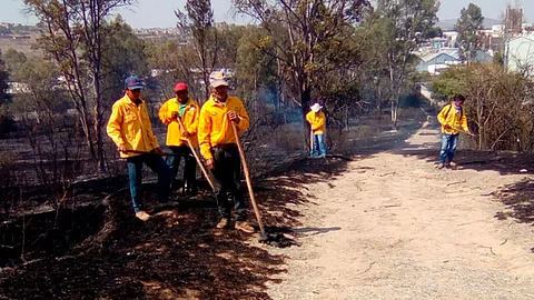 El gobierno de Morelia firmará, junto con la Conafor, un convenio para el pago por servicios ambientales (Foto: cortesía)