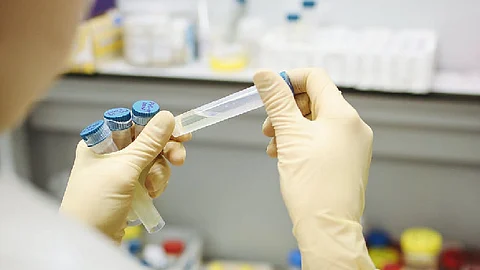La Cofepris seguirá evaluando otras pruebas rápidas para su autorización (Foto: pixabay.com)