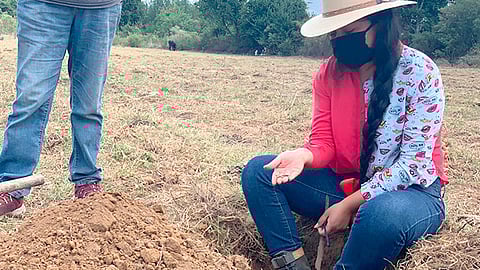 Especialistas de Sedrua capacitan a productores y productoras en la elaboración de compostas, lombricompostas, lixiviados de naranja, higuerilla, fungicidas, entre otros (Foto Cortesía)