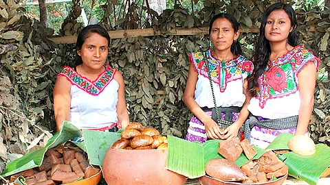 El objetivo es establecer mecanismos desde la Ley de Desarrollo Económico del Estado en beneficio de la población indígena (Foto Pixabay.com)