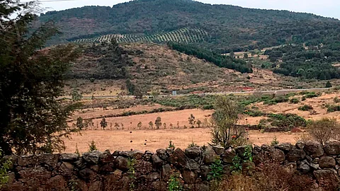 Se busca incluir a los habitantes en diversos proyectos productivos y en el pago por servicios ambientales (Foto: cortesía)