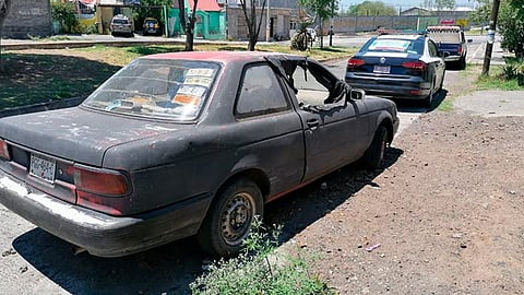 Seguro has visto más
de uno cuando caminas por las calles de Morelia (Foto: Cortesía)