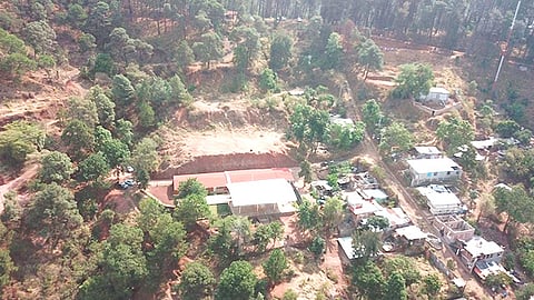 En el operativo se supervisó el área afectada y se ubicaron máquinas trabajando para deforestar, cuyo movimiento fue clausurado por la Profepa (Foto Cortesía)