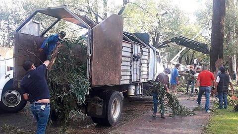 La finalidad es evitar taponamientos en los sistemas de drenaje (Foto Cortesía)