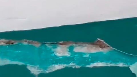 El sismo, de 7.5 de magnitud, tuvo como epicentro La Crucecita, Oaxaca (Foto: captura FB/ "Encuentro de Hidalgo y Morelos")