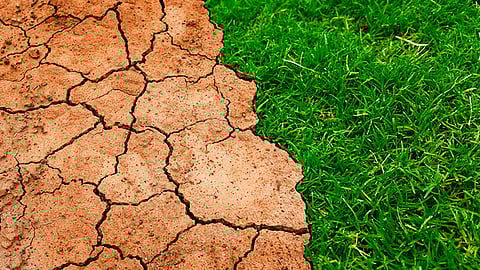 En México se estiman 50 muertes diarias por enfermedades relacionadas a la contaminación, lo cual refleja la gravedad del problema que se tiene (Foto Pixabay.com)