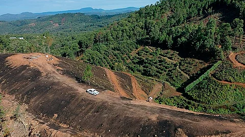 Dicha acción fue resultado de un operativo conjunto de la Mesa de Seguridad Ambiental (Foto: Cortesía)