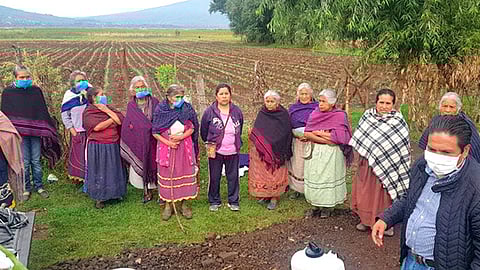 En la región de lago de Cuitzeo predominan los suelos ácidos y alcalinos, resultado del vulcanismo de hace 23 millones de años (Foto Cortesía)
