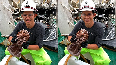 Este hallazgo sería el primero que se encuentra en las profundidades de Indonesia (Foto Facebook: St. John's Island Marine Laboratory)