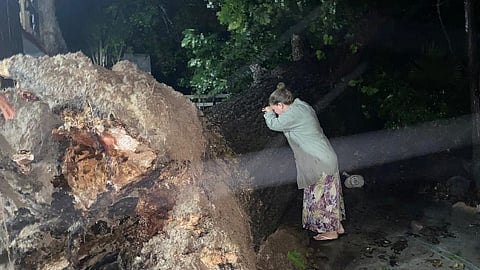 Usuarios de Internet se conmovieron con la publicación de la mujer (Foto FB: Claudia Lozano)