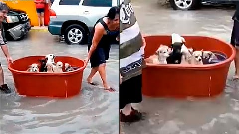 La pareja recibió buenos comentarios (Foto FB: Betty Vaquera Escandón)
