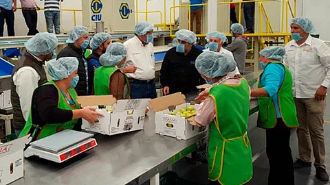 La agroindustria es de los principales sectores que se benefician con este nuevo acuerdo, dice especialista (Foto: SADER Michoacán)