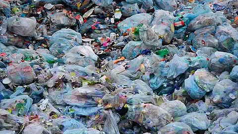 Bolsas de plástico, un problema mundial (Foto: Secretaría de Medio Ambiente y Recursos Naturales )