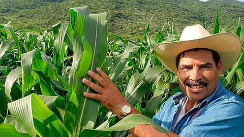 El productor aprendió a elaborar complementos orgánicos para mejorar sus cultivos sin dañar el medio ambiente (Foto Cortesía)