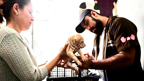 Durante la emergencia sanitaria, gente ha abondado a sus mascotas por miedo a que pudieran ser portadores del virus (Foto Cortesía)