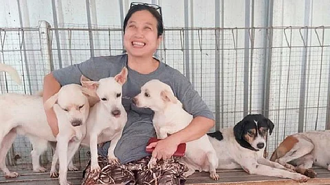 Somali decidió darles una segunda oportunidad a los perritos y cuidarlos en un refugio en Yakarta (Foto Instagram: @pejatenshelter)