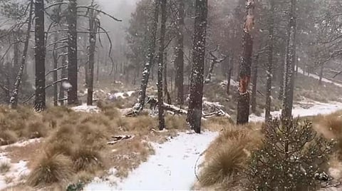 ¿Conoces el Pico de Tancítaro, Michoacán? Un corredor protegido desde 1940