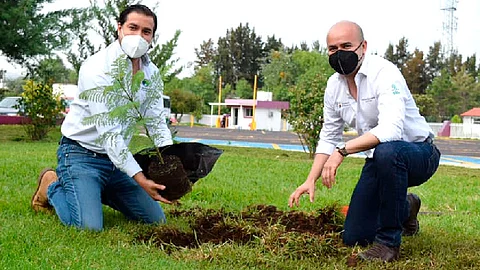 La campaña pretende plantar un millón de árboles (Foto: Cofom)