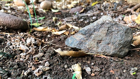 El cadáver fue encontrado sobre una brecha de terracería (Foto: MiMorelia.com)